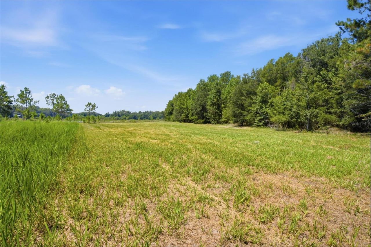 0 Forest 02, #1, SE 150th Street, Umatilla, FL 32784 Photo