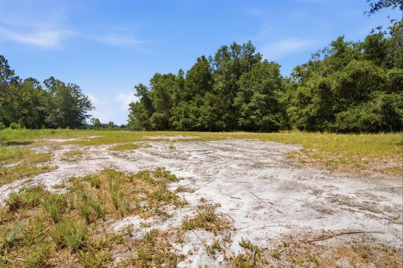 0 Forest 02, #1, SE 150th Street, Umatilla, FL 32784 Photo