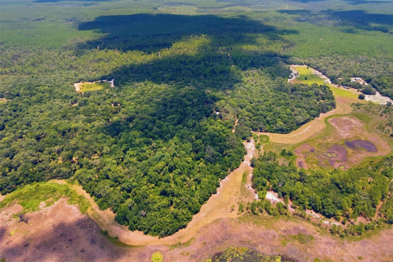 0 Forest 02, #1, SE 150th Street, Umatilla, FL 32784 Photo
