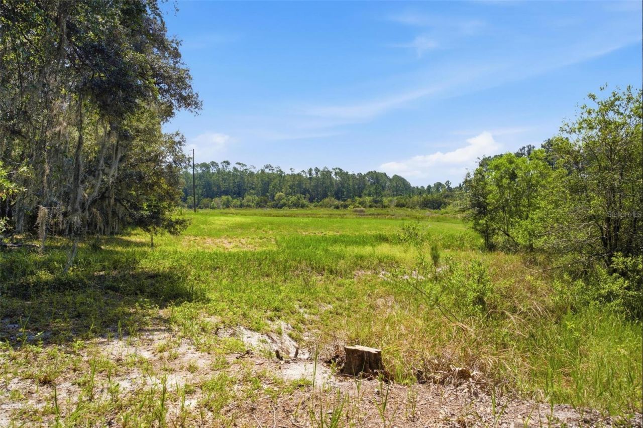 0 Forest 02, #1, SE 150th Street, Umatilla, FL 32784 Photo