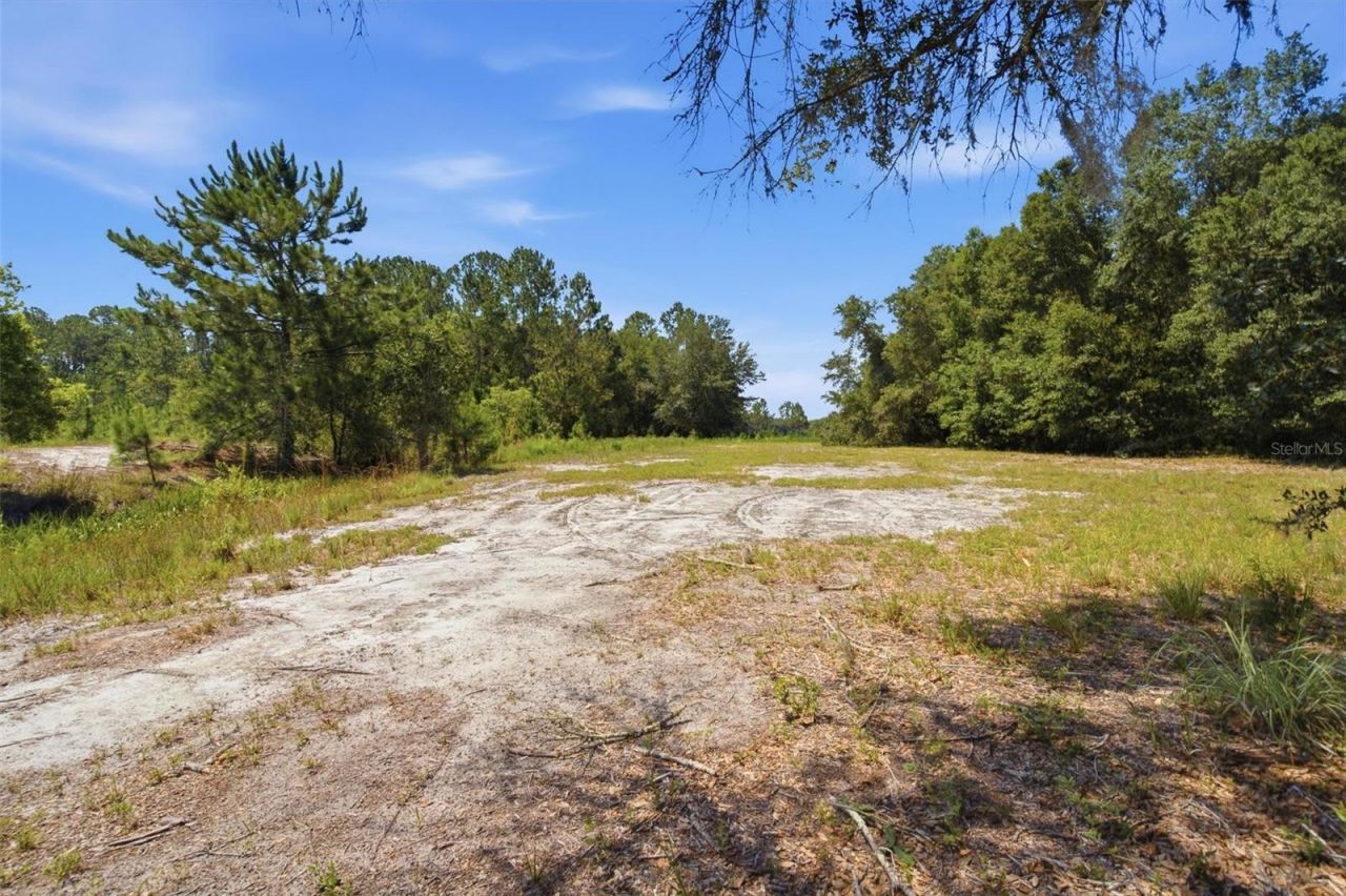 0 Forest 02, #1, SE 150th Street, Umatilla, FL 32784 Photo