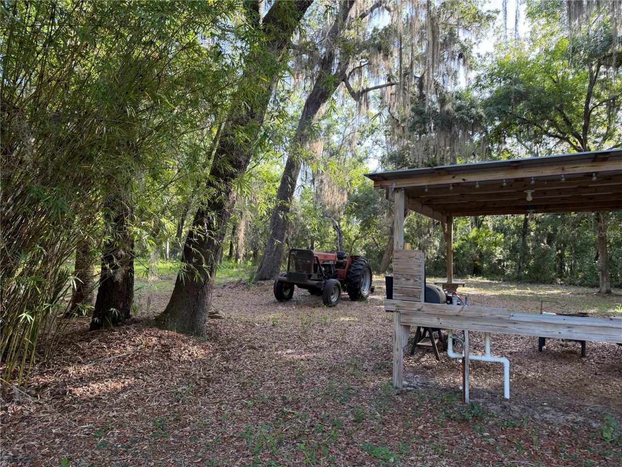 0 Forest 02, #1, SE 150th Street, Umatilla, FL 32784 Photo