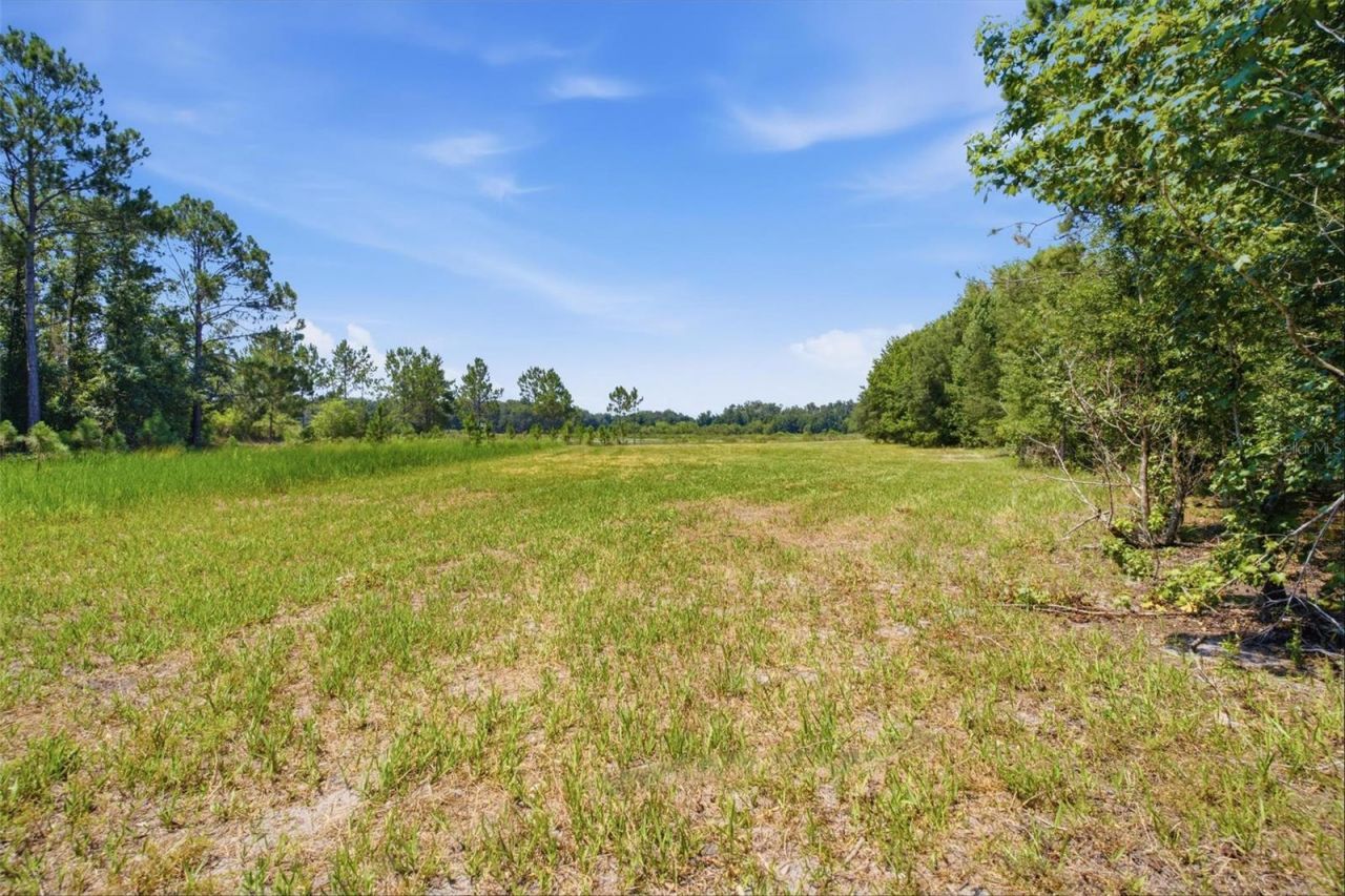 0 Forest 02, #1, SE 150th Street, Umatilla, FL 32784 Photo