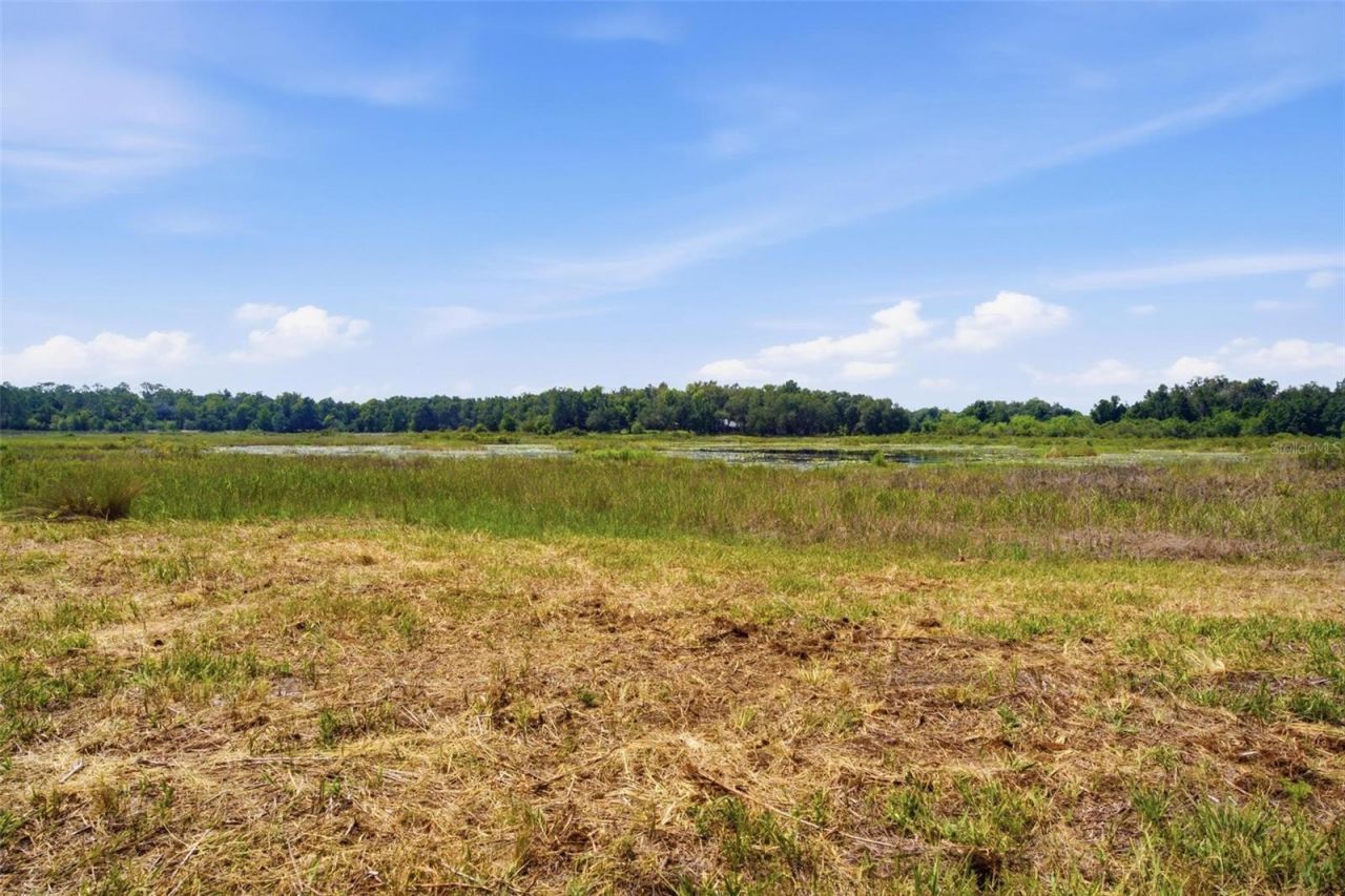 0 Forest 02, #1, SE 150th Street, Umatilla, FL 32784 Photo