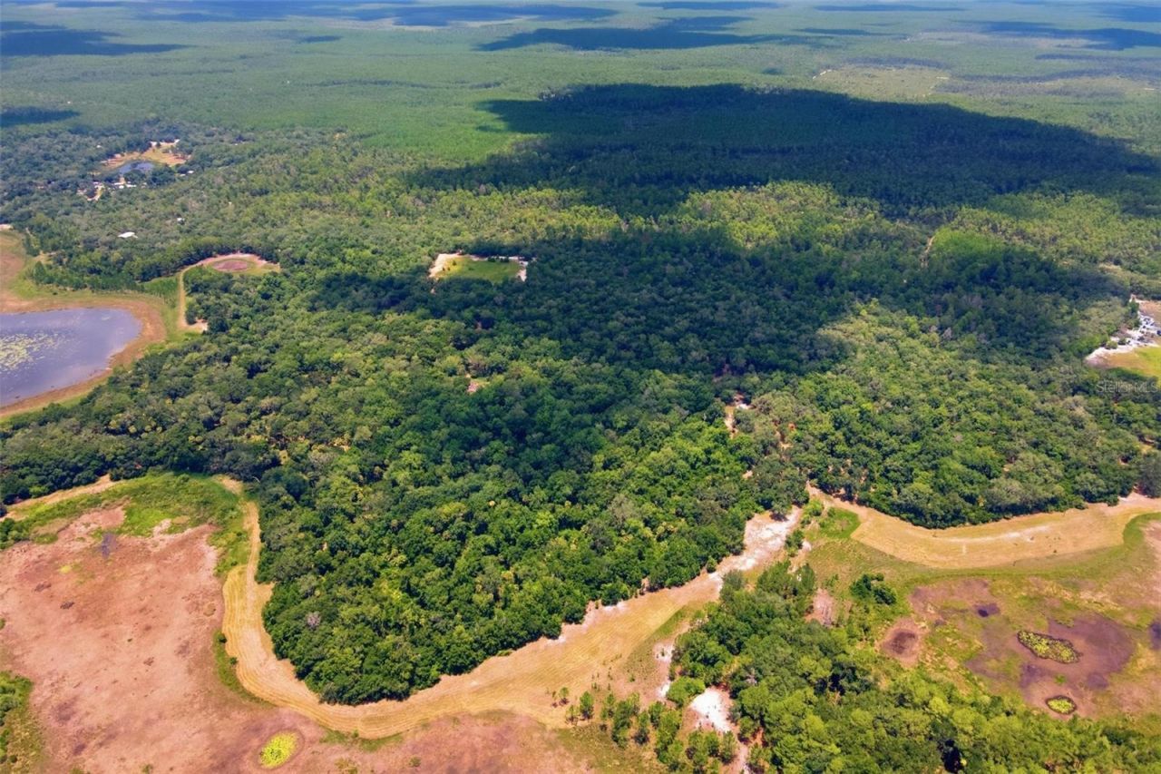 0 Forest 02, #1, SE 150th Street, Umatilla, FL 32784 Photo
