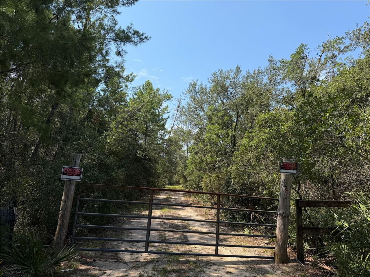 0 Forest 02, #1, SE 150th Street, Umatilla, FL 32784 Photo