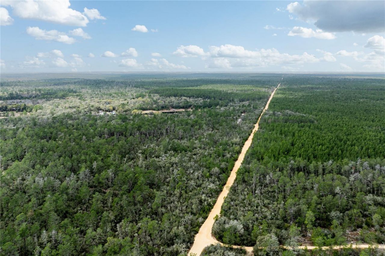 0 Forest 02, #1, SE 150th Street, Umatilla, FL 32784 Photo