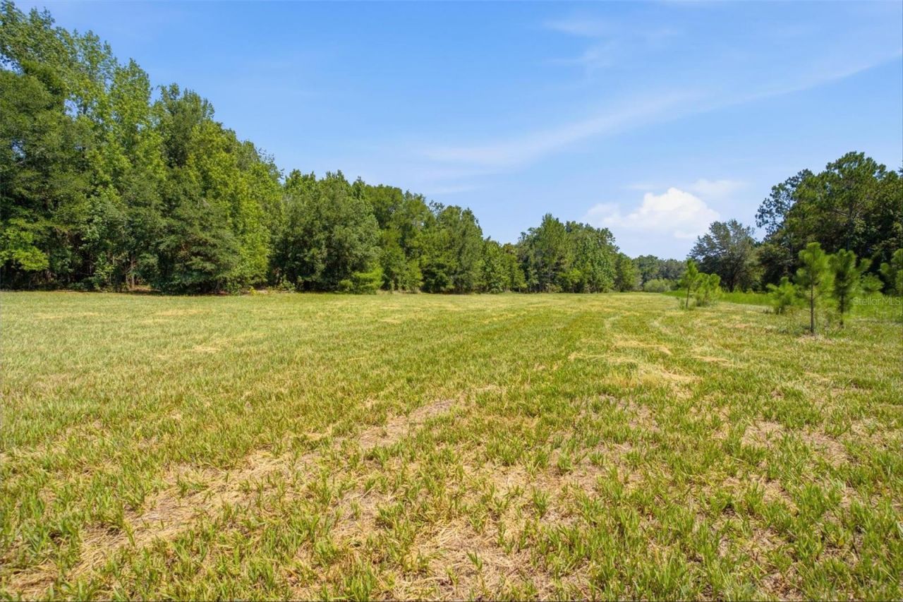 0 Forest 02, #1, SE 150th Street, Umatilla, FL 32784 Photo
