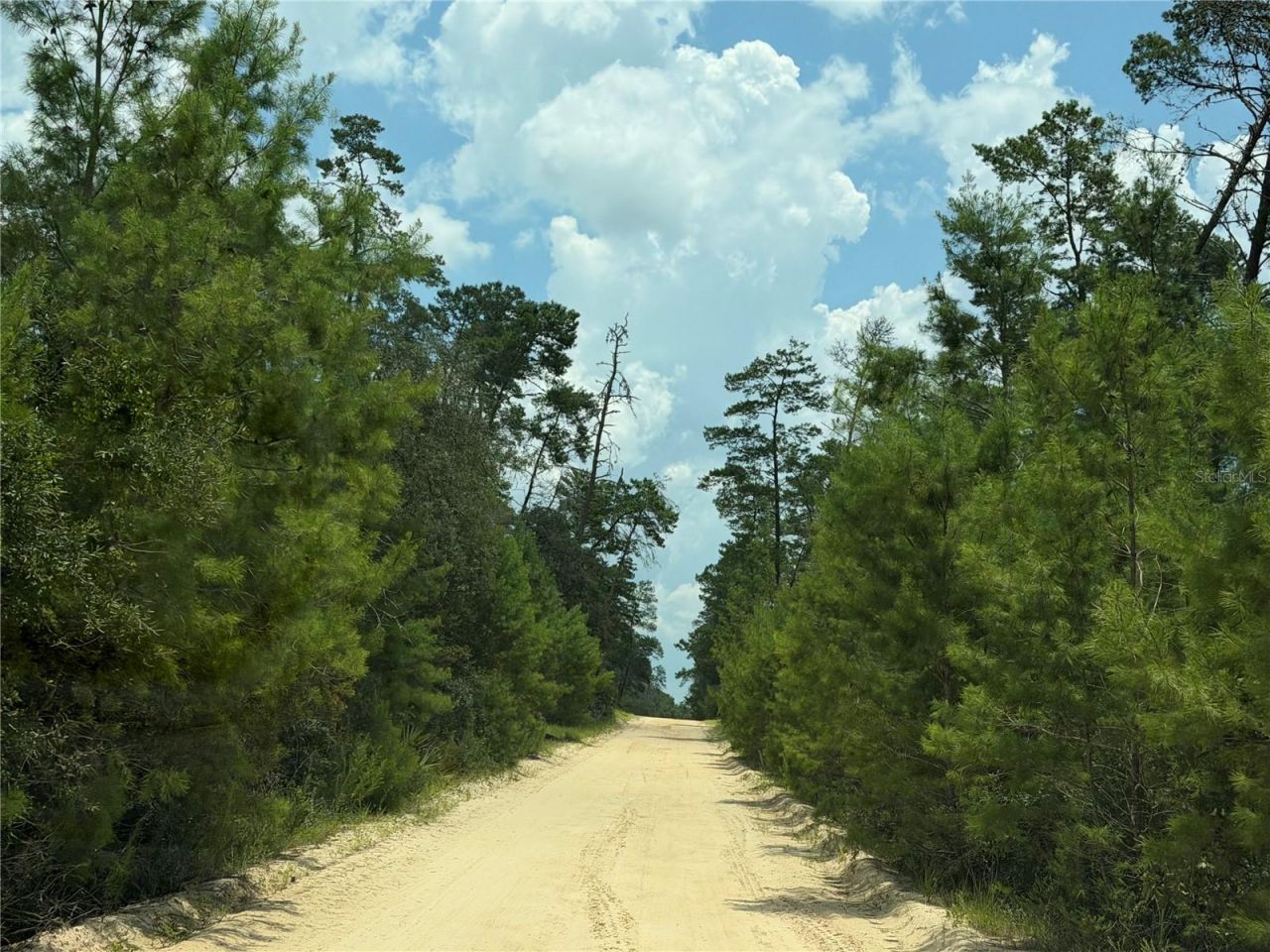 0 Forest 02, #1, SE 150th Street, Umatilla, FL 32784 Photo