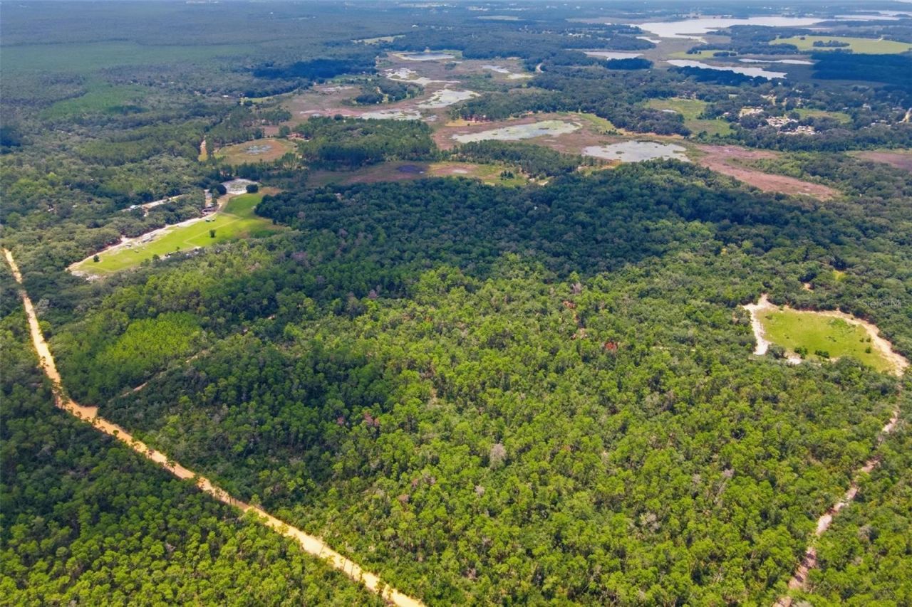 0 Forest 02, #1, SE 150th Street, Umatilla, FL 32784 Photo