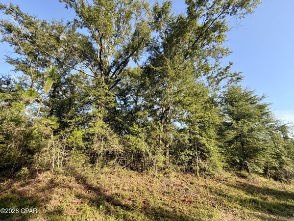 Lot 26 Grove Lane, Marianna, FL 32448