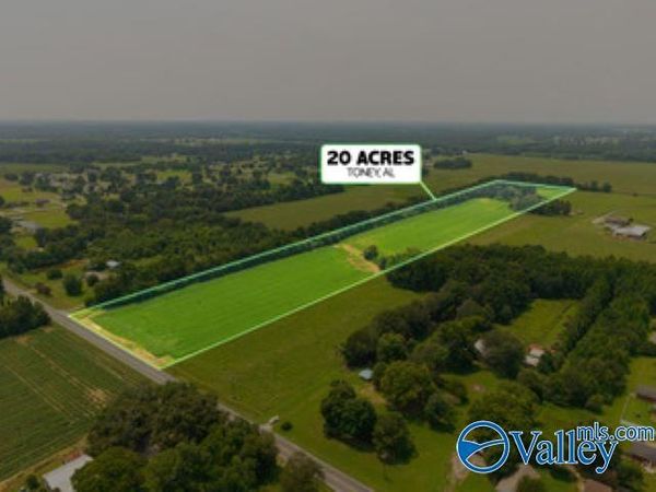 20 acres Alabama Highway 251, Toney, AL 35773