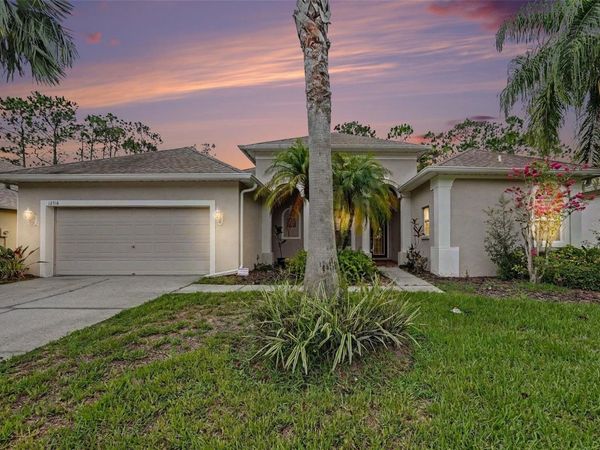 12516 LEATHERLEAF DRIVE , TAMPA, FL 33626