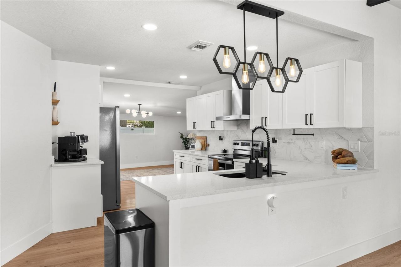 1134 Meadowlawn Drive N, Saint Petersburg, FL 33702 Photo