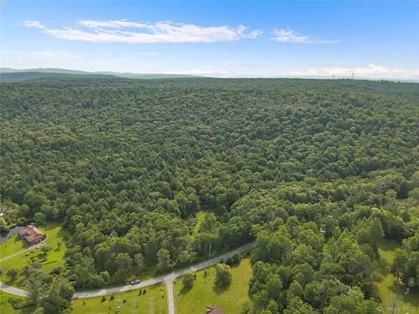 O Benton Hollow Road , Livingston Manor, NY 12758