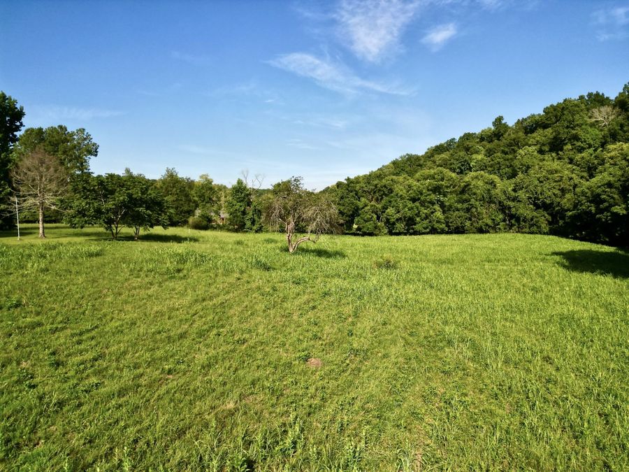 Property Image 90