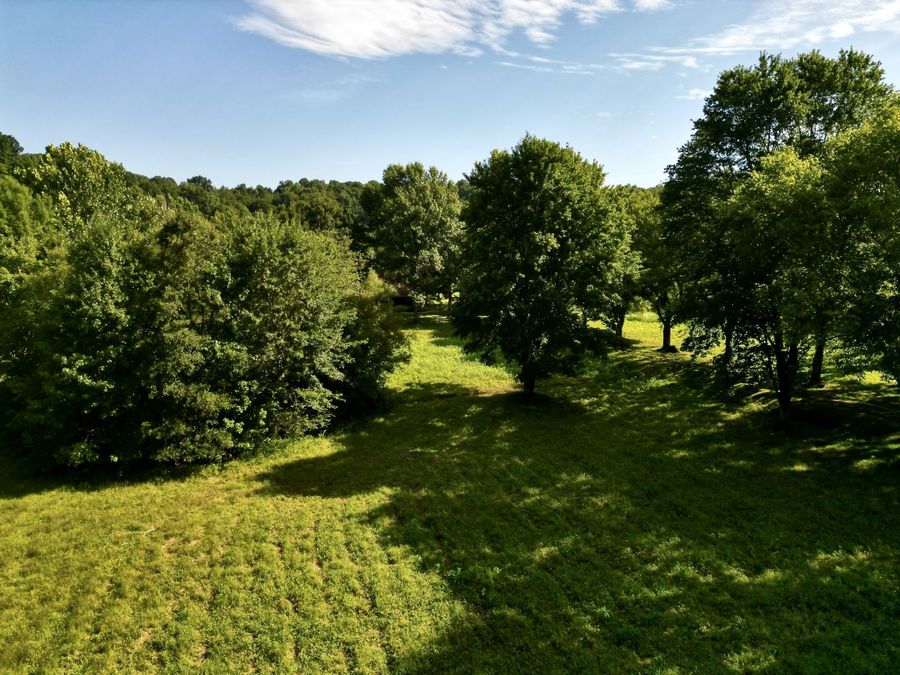 Property Image 81