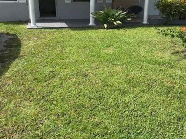 4383 SE Field Street, Stuart, FL 34997