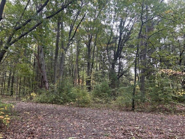 4051 Highview Path, Coloma, MI 49038