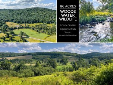 Lot #11 Franklin Depot Road, Sidney, NY 13838