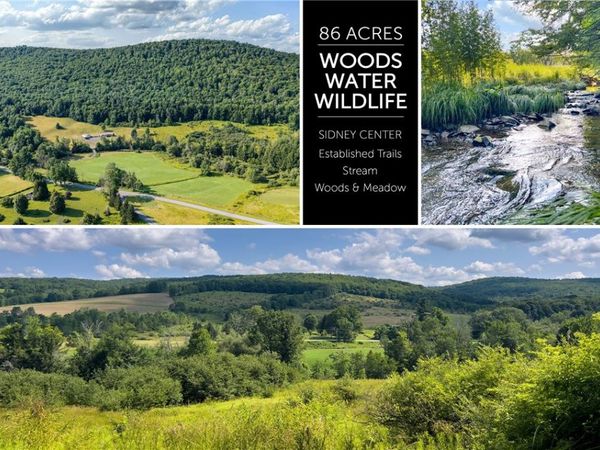 Lot #11 Franklin Depot Road , Sidney, NY 13838
