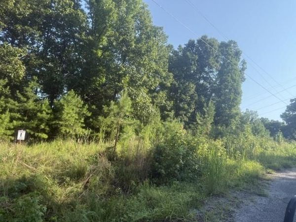 TRACT 1 BELEW HOLLOW HILL RD, Waynesboro, TN 38485
