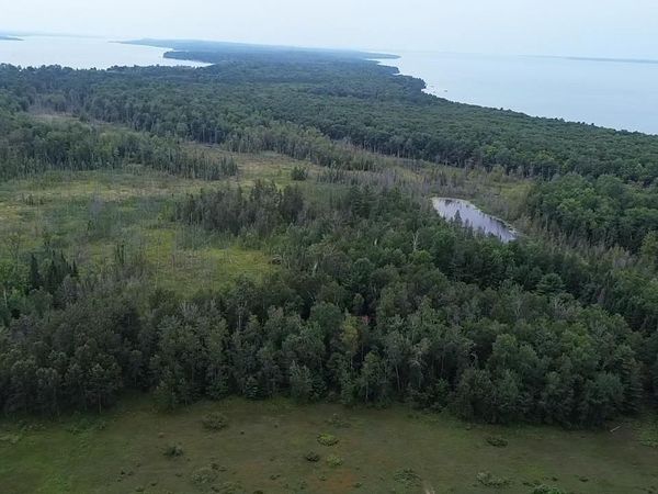 Lore Road, Central Lake, MI 49622
