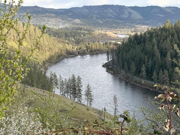 310 Cougar Road, Kamiah, ID 83536