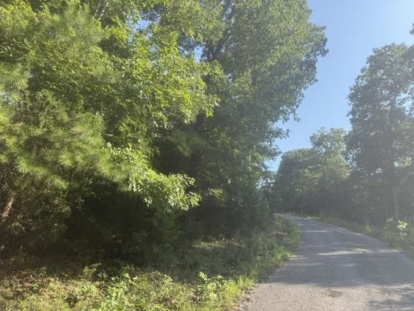 TRACT 2 BELEW HOLLOW HILL RD, Waynesboro, TN 38485