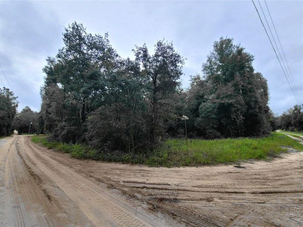 TBD NE 81ST TER DRIVE , BRONSON, FL 32621