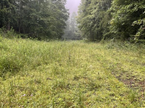 TBD Bullen Valley Road, Thorn Hill, TN 37881
