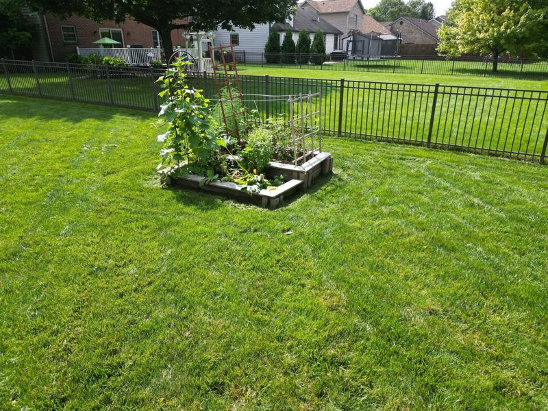 6 Osprey Court, Piqua, OH 45356 Photo 25