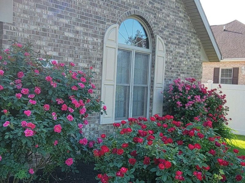 6 Osprey Court, Piqua, OH 45356 Photo 4