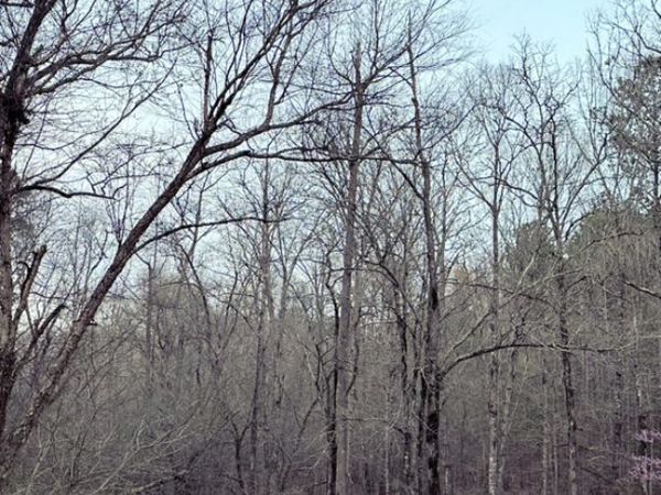 1503 McDonald Road, Covington, GA 30014