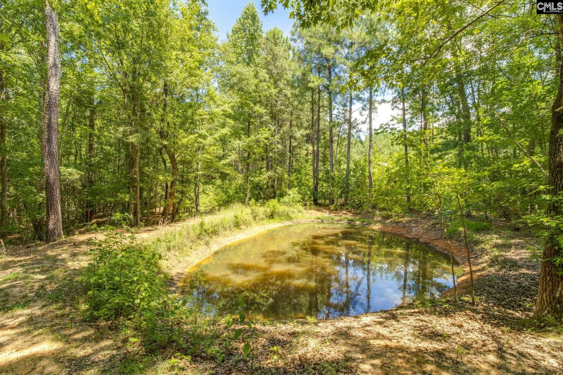 1242 Old Douglas Road  Photo 24