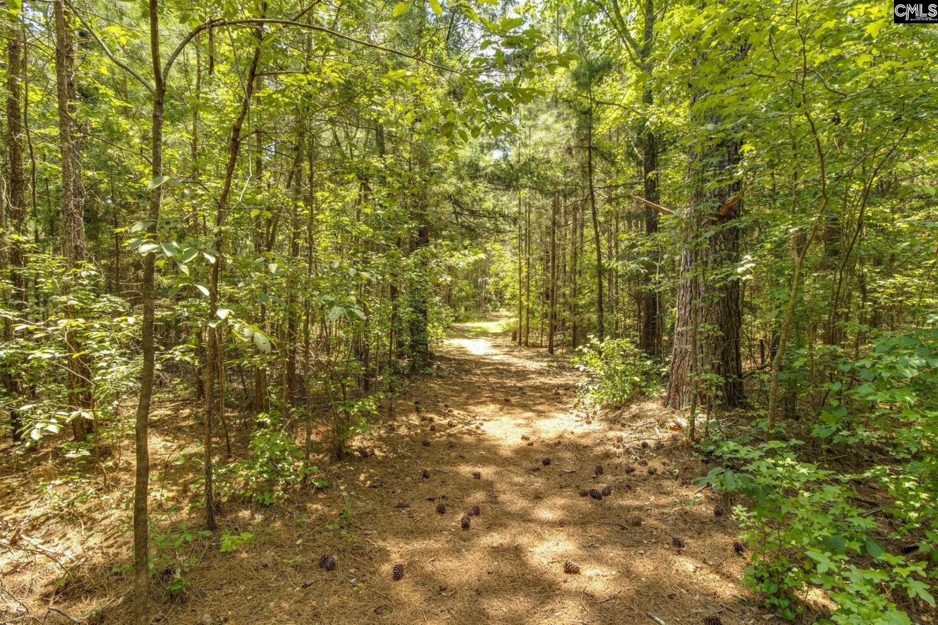 1242 Old Douglas Road Photo 25