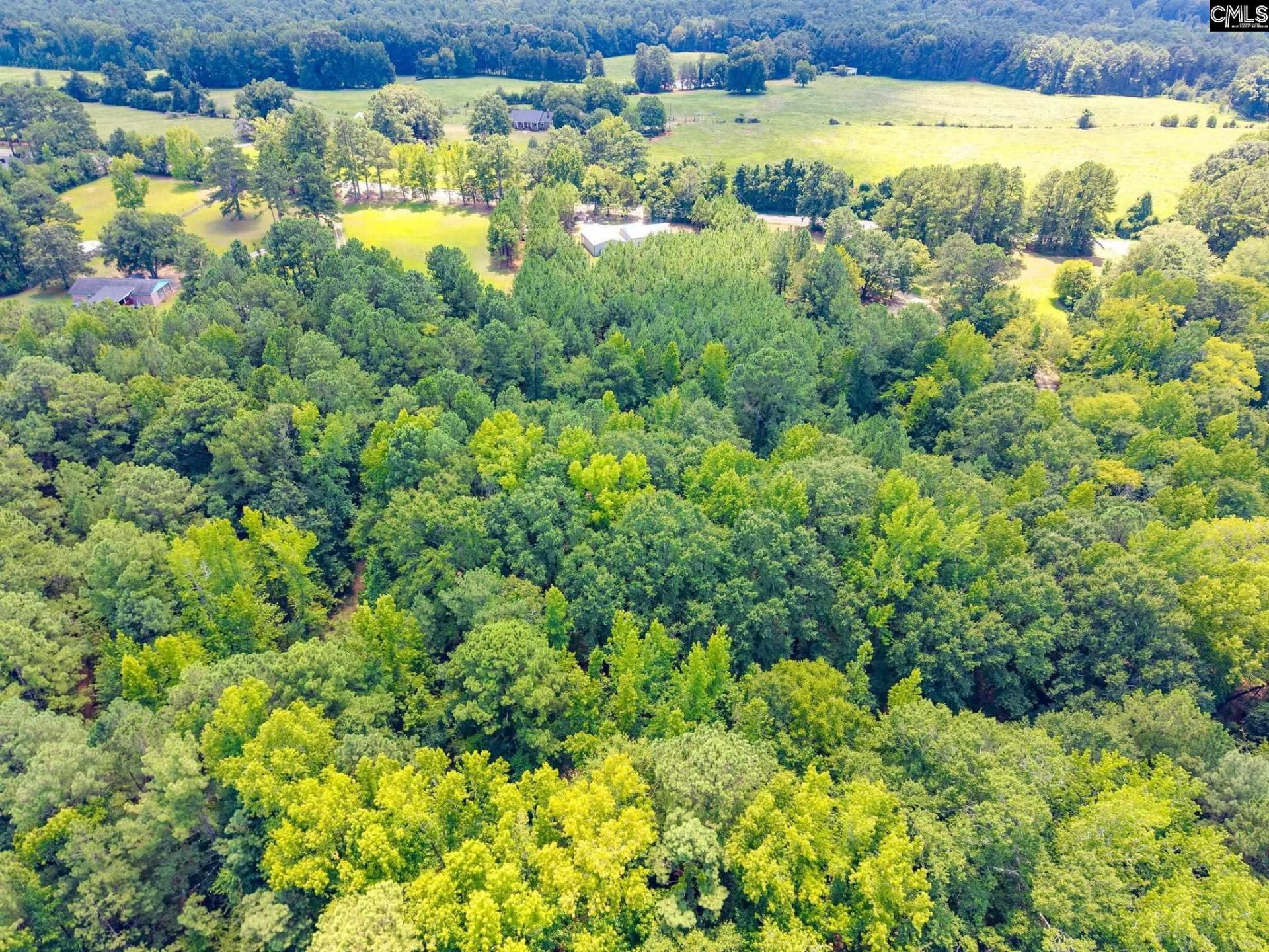 1242 Old Douglas Road Photo 32