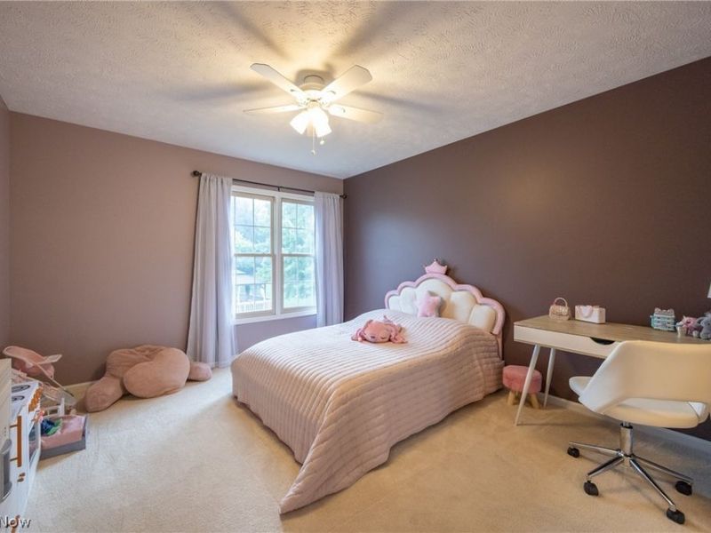 10082 Timothy Lane, Twinsburg, OH 44087 Photo 28
