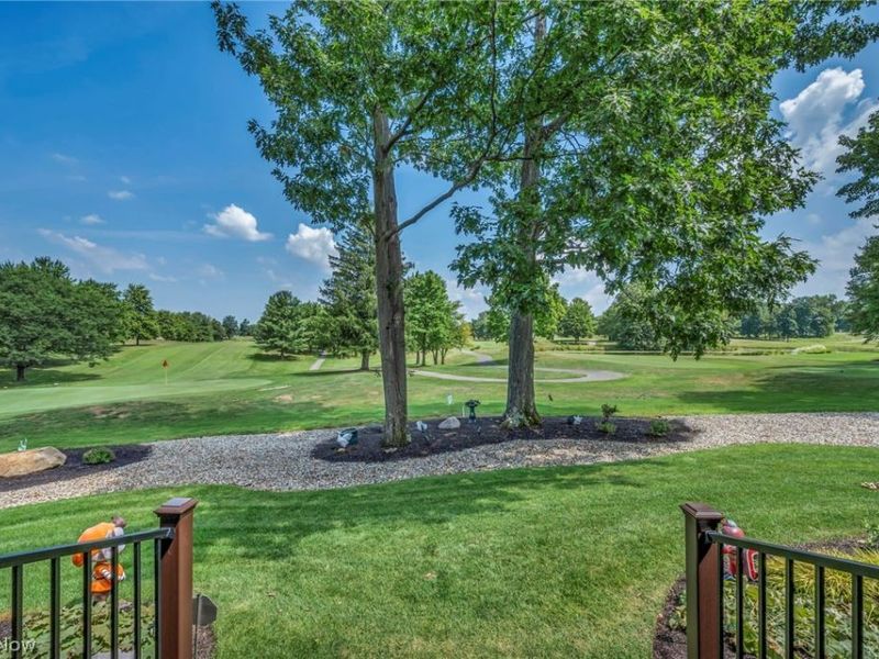 3909 Weymouth Woods Drive, Medina, OH 44256 Photo 46