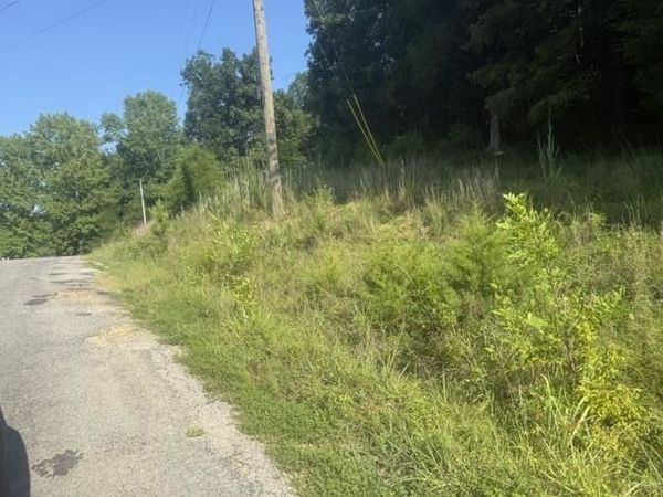 TRACT 3 CARROLL HOLLOW RD, Waynesboro, TN 38485