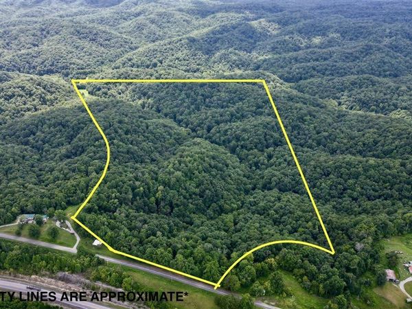 1955 Old 61 Loop Road , Breeding, KY 42728