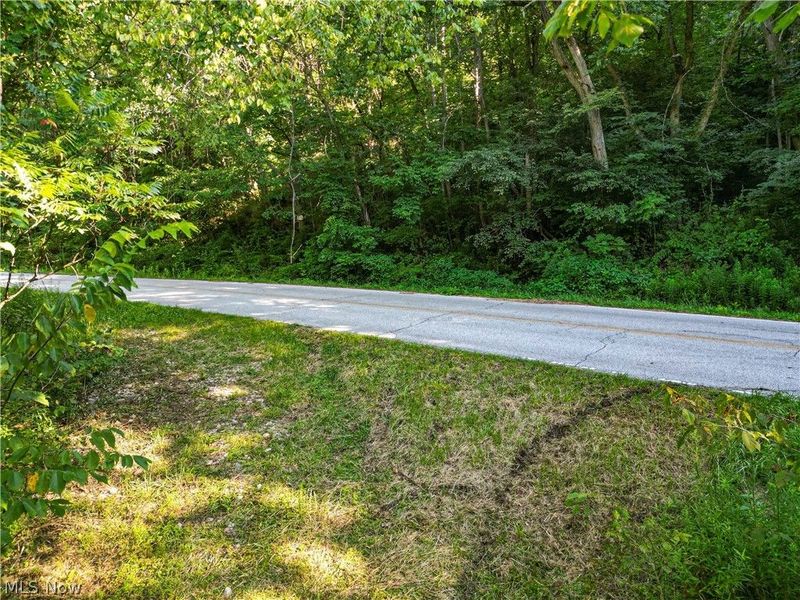 52982 Wegee Road , Unit 1, Shadyside, OH 43947 Photo 7