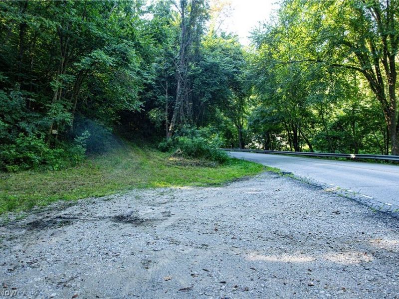 52982 Wegee Road , Unit 2, Shadyside, OH 43947 Photo 11