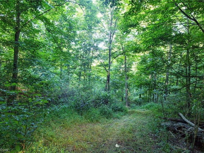 52982 Wegee Road , Unit 2, Shadyside, OH 43947 Photo 17