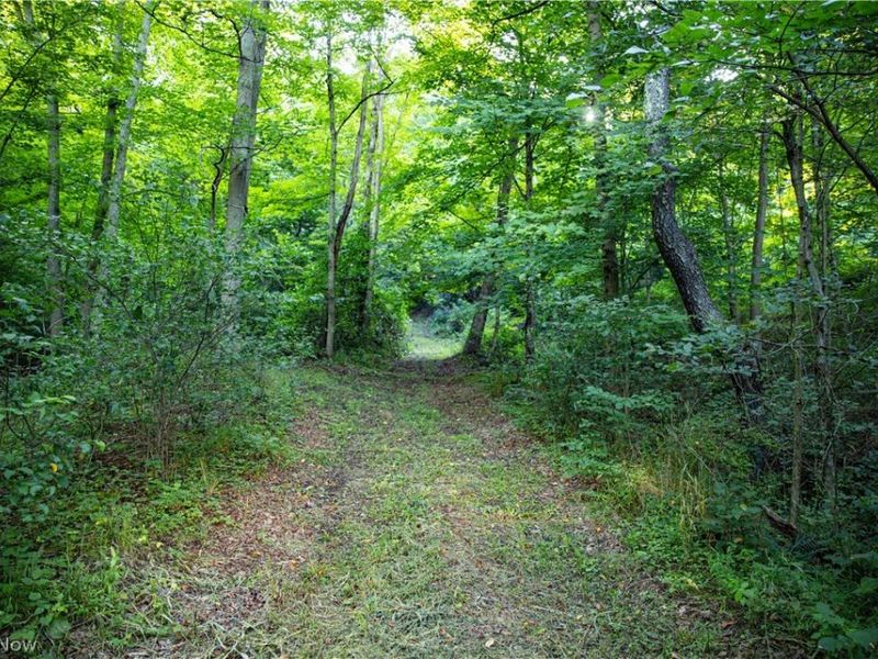 52982 Wegee Road , Unit 2, Shadyside, OH 43947 Photo 8