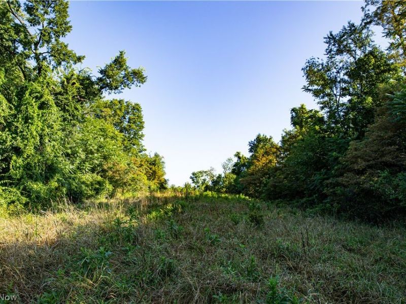 52982 Wegee Road , Unit 2, Shadyside, OH 43947 Photo 9