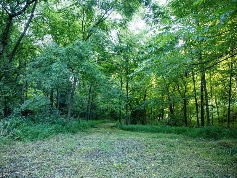 52982 Wegee Road , Shadyside, OH 43947 Photo 16