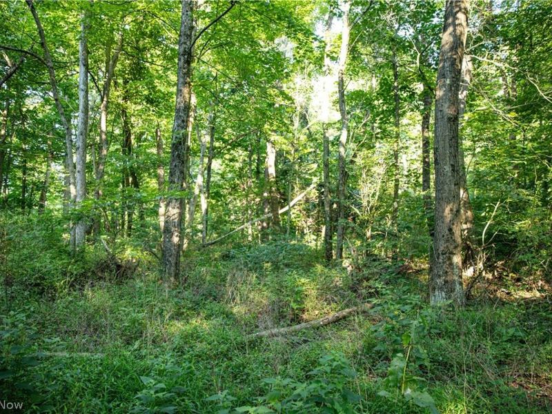 52982 Wegee Road , Shadyside, OH 43947 Photo 25