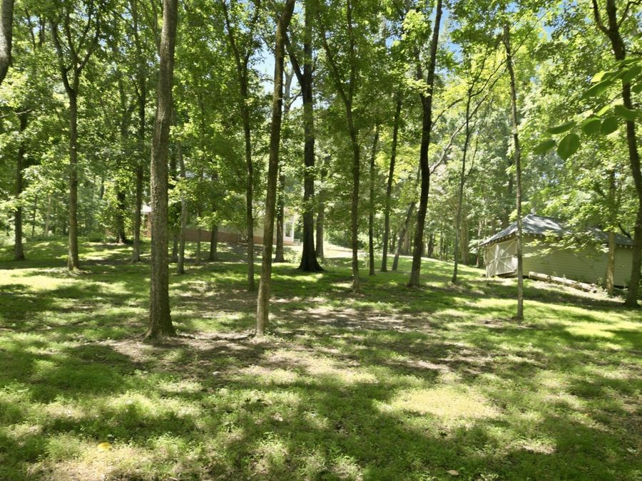 Property Image 49