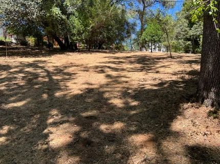 Clay St, Placerville, CA 95667 Photo